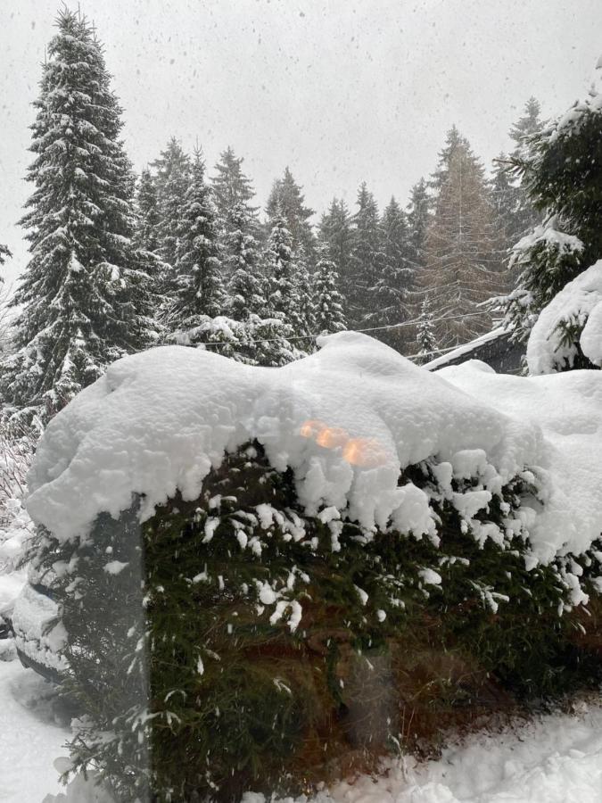 Schoenwald Waldchalet Am Musenberg Stryck 외부 사진